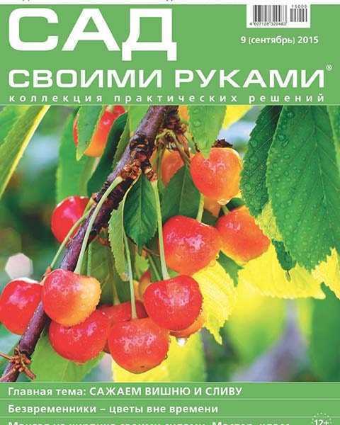 Журнал Сад своими руками № 9 сентябрь 2015 в PDF