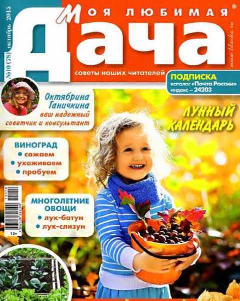 Журнал Моя любимая дача №10 октябрь 2015