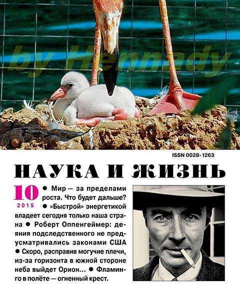 Журнал Наука и жизнь №10 октябрь 2015 , фламинго