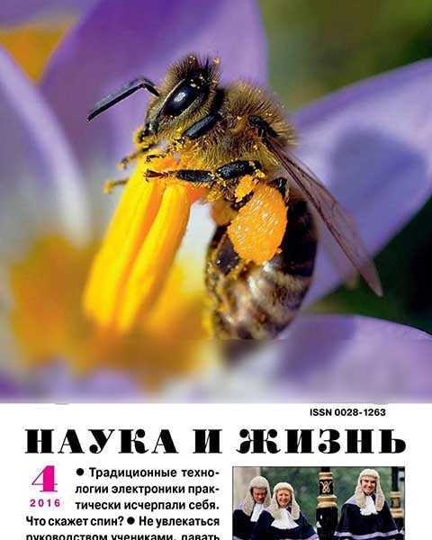 Журнал Наука и жизнь №4 апрель 2016 PDF