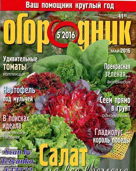 Салат, Журнал Огородник №5 май 2016