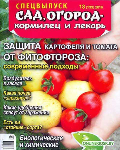Картофель и помидоры, Сад, огород – кормилец и лекарь 2016
