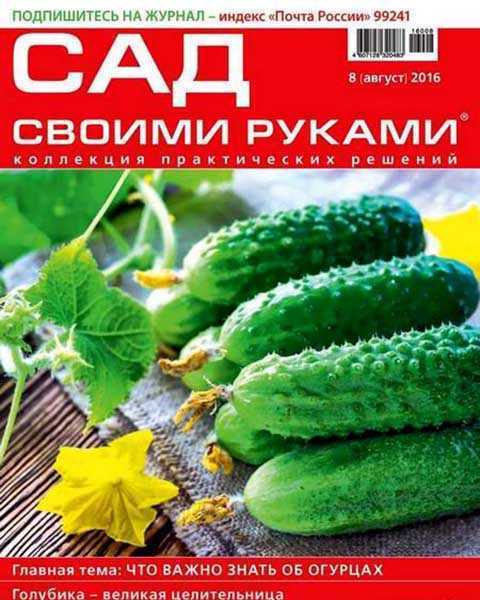 Огурцы на обложке журнала Сад своими руками №8 август 2016