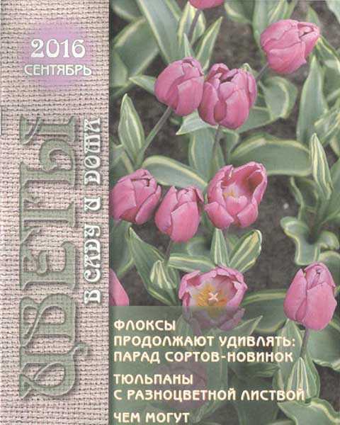 Журнал Цветы в саду и дома №9 2016