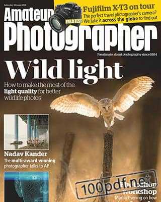 Owl Amateur Photographer 15 June 2019