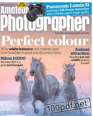 Horses Amateur Photographer 27 july 2019