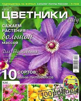 Мини-лилейники Цветники в саду №8 (2019)