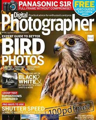 Bird Digital Photographer №216 (2019)