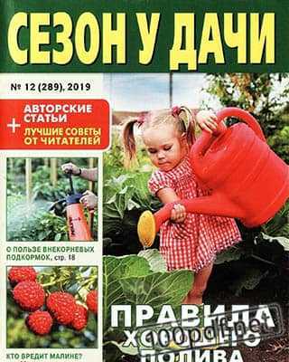 Капуста Сезон у дачи №12 (2019)