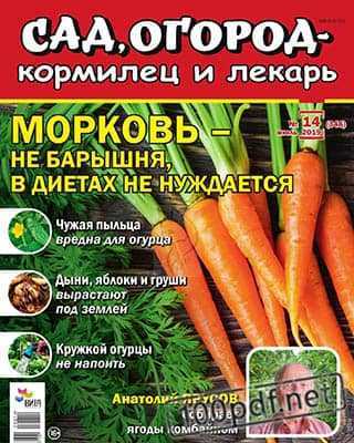 Морковь Сад, огород – кормилец и лекарь №14 2019