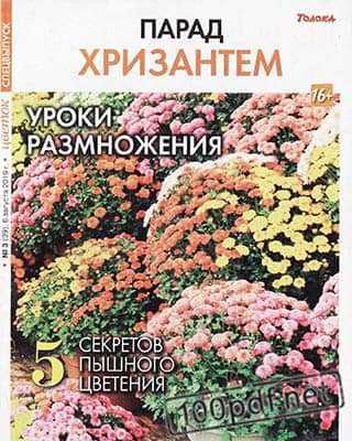 Хризантемы Цветок №3 СВ 2019