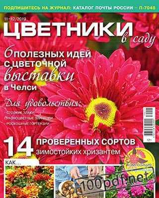 Красная хризантема Цветники в саду №11-12 (2019)