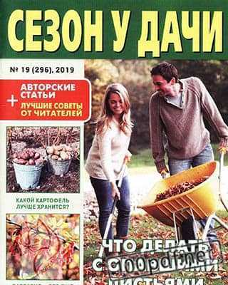 Уборка листьев Сезон у дачи №19 (2019)