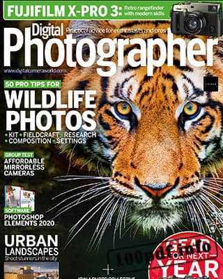 Tiger Digital Photographer №221 (2019)