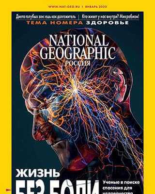 Нервы National Geographic №1 2020