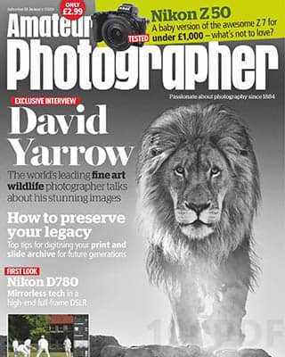 Lion Amateur Photographer 18 Jan 2020