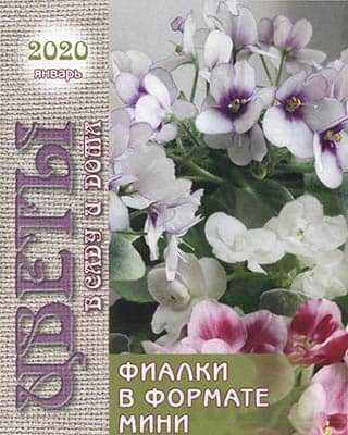 Мини-фиалки Цветы в саду и дома №1 (2020)