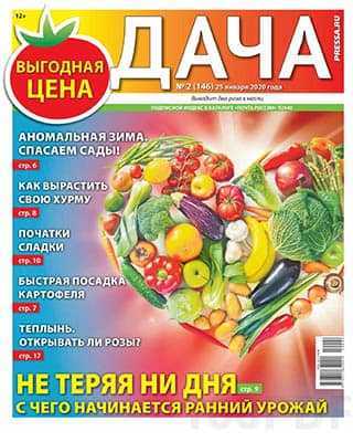 Овощное сердце Дача №2 2020