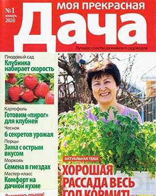 Рассада томатов Моя прекрасная дача №1 2020