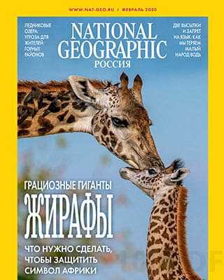 Жирафы National Geographic №2 2020