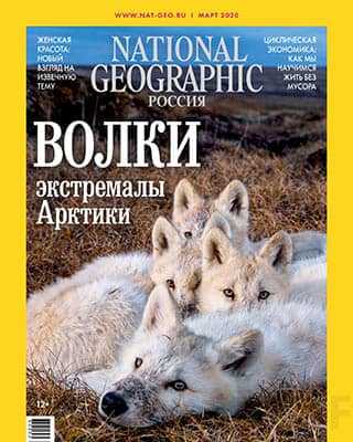 Волки National Geographic №3 2020