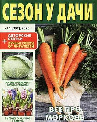 Морковь Сезон у дачи №1 (2020)