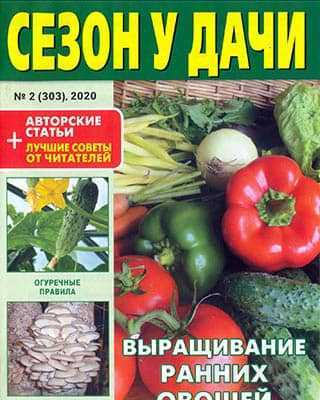 Овощи Сезон у дачи №2 (2020)