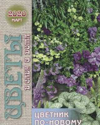 Обложка Цветы в саду и дома 3 2020