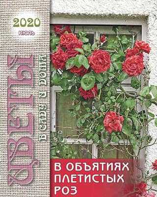 Обложка Цветы в саду и дома 7 2020