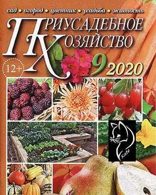 Обложка Приусадебное хозяйство 9 2020