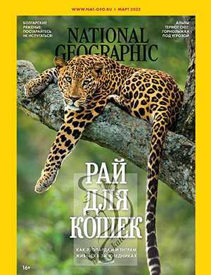 Обложка National Geographic 3 2022
