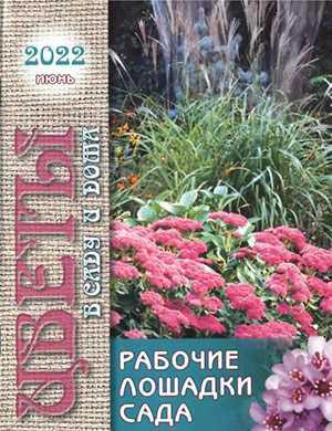Обложка Цветы в саду и дома 6 2022