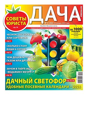 Обложка Дача 2 2025