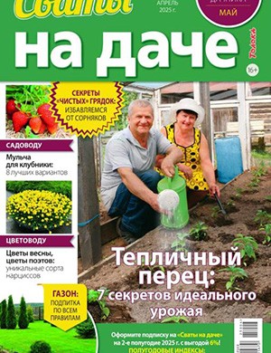 Обложка Сваты на даче 4 2025