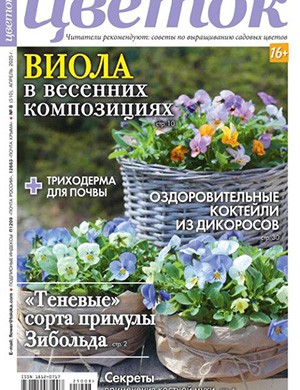 Обложка Цветок 8 2025
