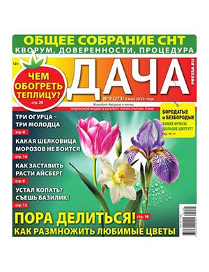 Обложка Дача 9 2025