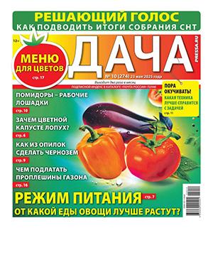 Обложка Дача 10 2025