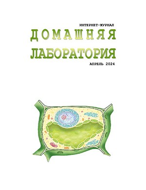 Обложка Домашняя лаборатория 4 2025