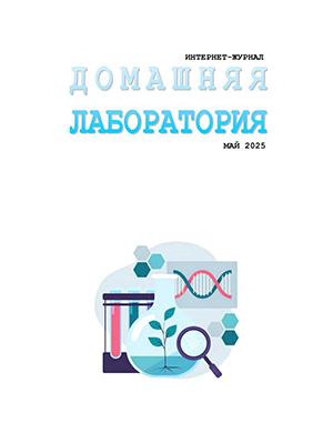 Обложка Домашняя лаборатория 5 2025