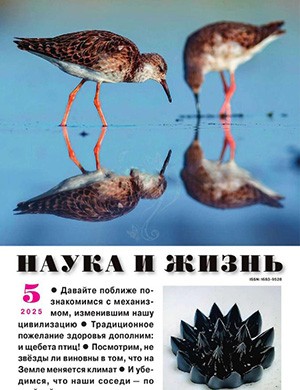 Обложка Наука и жизнь 5 2025