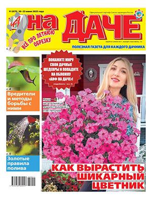 Обложка АиФ На даче 11 2025