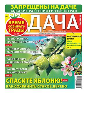 Обложка Дача 11 2025