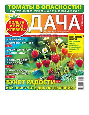 Обложка Дача 12 2025