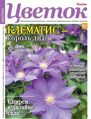 Обложка Цветок 11 2025