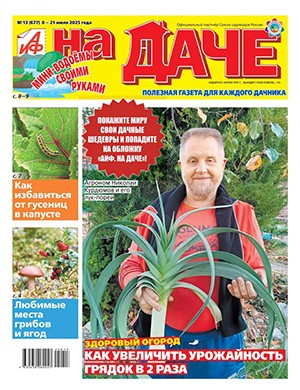Обложка АиФ На даче 13 2025