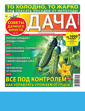 Обложка Дача 14 2025