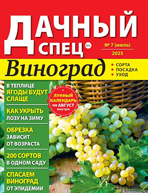 Обложка Дачный спец 7 2025
